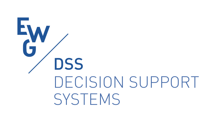 EURO working group on Decision Support Systems (DSS)