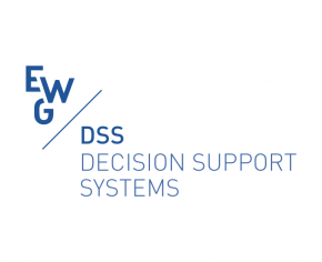 EURO Working Group on Decision Support Systems