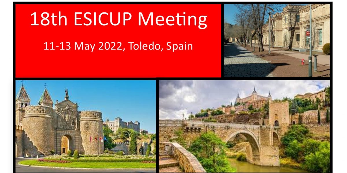 ESICUP18th ESICUP18th